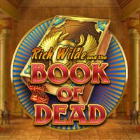7bit Casino: Book of Dead